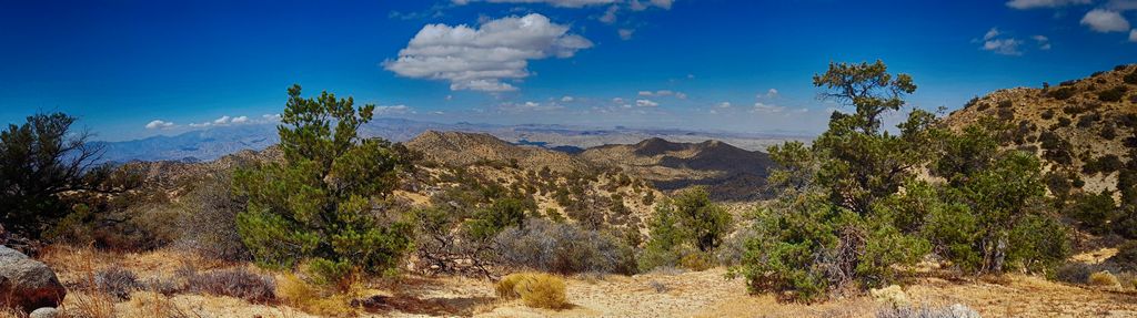 Panorama Loop View